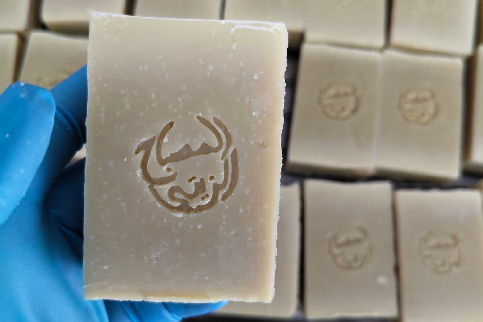 L'Alep Noble découpé